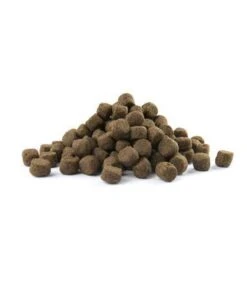 VERSELE-LAGA Opti Life Adult Skin Care Medium & Maxi - 12,5 Kg -Hondenproducten 1002x1200 1