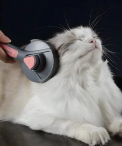 Pakeway T9 - Kattenborstel - Zelfreinigende Kattenkam - Groen - Massageborstel - 19,3 Cm 23 Pakeway T9 - Kattenborstel - Zelfreinigende Kattenkam - Groen - Massageborstel - 19,3 Cm -Hondenproducten 1005x1200