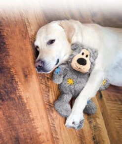 Kong Wild Knots Beer - Hondenspeelgoed - Assorti - M - 25 X 20 X 10 Cm 22 Kong Wild Knots Beer - Hondenspeelgoed - Assorti - M - 25 X 20 X 10 Cm -Hondenproducten 1017x1200 1