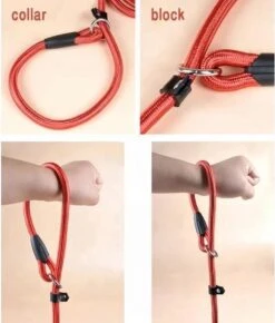 LOUZIR Cesar Millan Sliplijn Met Stop - Hondenriem - Rood - 130 Cm -Hondenproducten 1023x1200