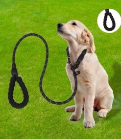 Nixnix - Honden Riem - 1,7cm - Zwart - 1,2cm Dik - Sliplijn - Nylon - Hondenriem - Verstelbaar - Jachtlijn Met Stop - Leiband 12 Nixnix - Honden Riem - 1,7cm - Zwart - 1,2cm Dik - Sliplijn - Nylon - Hondenriem - Verstelbaar - Jachtlijn Met Stop - Leiband -Hondenproducten 1042x1200