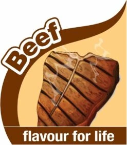 Nylabone Flexi Voor Honden Puppy Teething X Bone Beef Tot 11 Kg -Hondenproducten 1048x1200 2