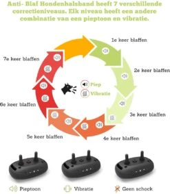 Doggie™ Anti Blafband - Diervriendelijk - GEEN Schok - Anti Blafband - Hondenhalsband -Hondenproducten 1048x1200