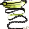 Hondenriem Hardloopriem Elastische Reflecterende Geschikt Voor Hardlopen - Handsfree Riem Met Opbergtasje – Hond Looplijn - Schokabsorberend - Groen 2 Hondenriem Hardloopriem Elastische Reflecterende Geschikt Voor Hardlopen - Handsfree Riem Met Opbergtasje – Hond Looplijn - Schokabsorberend - Groen -Hondenproducten 1052x1200