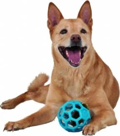 JW HOL-EE ROLLER – Hondenbal Rubber – 15 Cm - Large - 1 Stuk -Hondenproducten 1053x1200 3