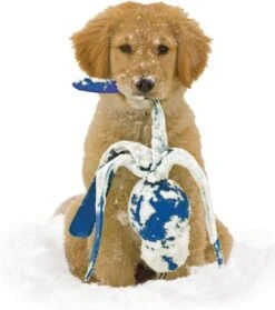 Kong Wubba - Hondenspeelgoed - Assorti - S: 24 Cm -Hondenproducten 1063x1200 1