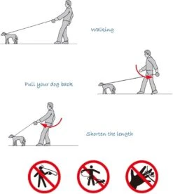 IGOODS - Uitlaatriem - Honden Riem - Katten Riem - Uitlaatriem Voor Dieren Rollijn - Hondenriem - 5 Meter Lang - Grijs -Hondenproducten 1072x1200