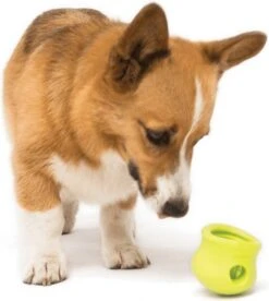 West Paw Toppl Zogoflex - Uitdagend En Sterk Speelgoed Voor Honden - Slowfeeder - Vulbaar Met Voer Of Snacks - Kleur: Groen, Maat: Large -Hondenproducten 1075x1200 13