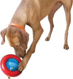 Kong-hondenspeelgoed-slowfeeder-voerdispenser- Gyro- Maat L -Hondenproducten 1105x1200 5