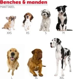 Adori Vetbed Basic - Dierendeken - Grijs - 122 X 75 Cm 7 Adori Vetbed Basic - Dierendeken - Grijs - 122 X 75 Cm -Hondenproducten 1115x1200 5