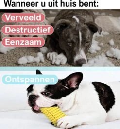 Merkloos Corn Dog Toothbrush - Honden Speelgoed - Hondenspeelgoed - Honden Tandenborstel - Gezond Dieet - Hondenspeeltje - Honden Speelgoed Intelligentie 21 Merkloos Corn Dog Toothbrush - Honden Speelgoed - Hondenspeelgoed - Honden Tandenborstel - Gezond Dieet - Hondenspeeltje - Honden Speelgoed Intelligentie -Hondenproducten 1116x1200 1