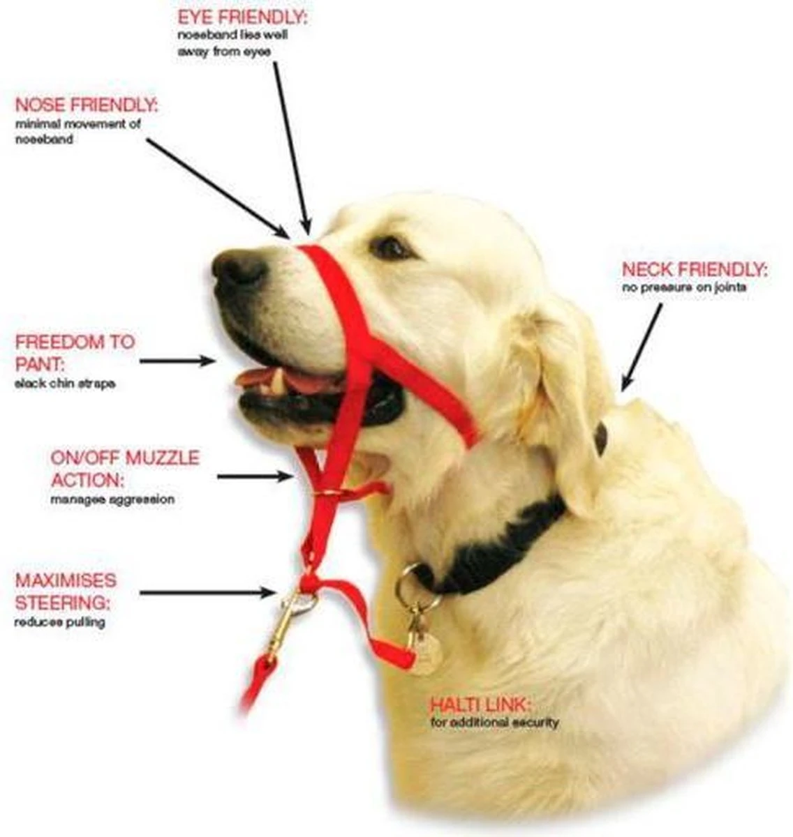 Halti Headcollar - Maat 2 4 Halti Headcollar - Maat 2 - Afbeelding 2