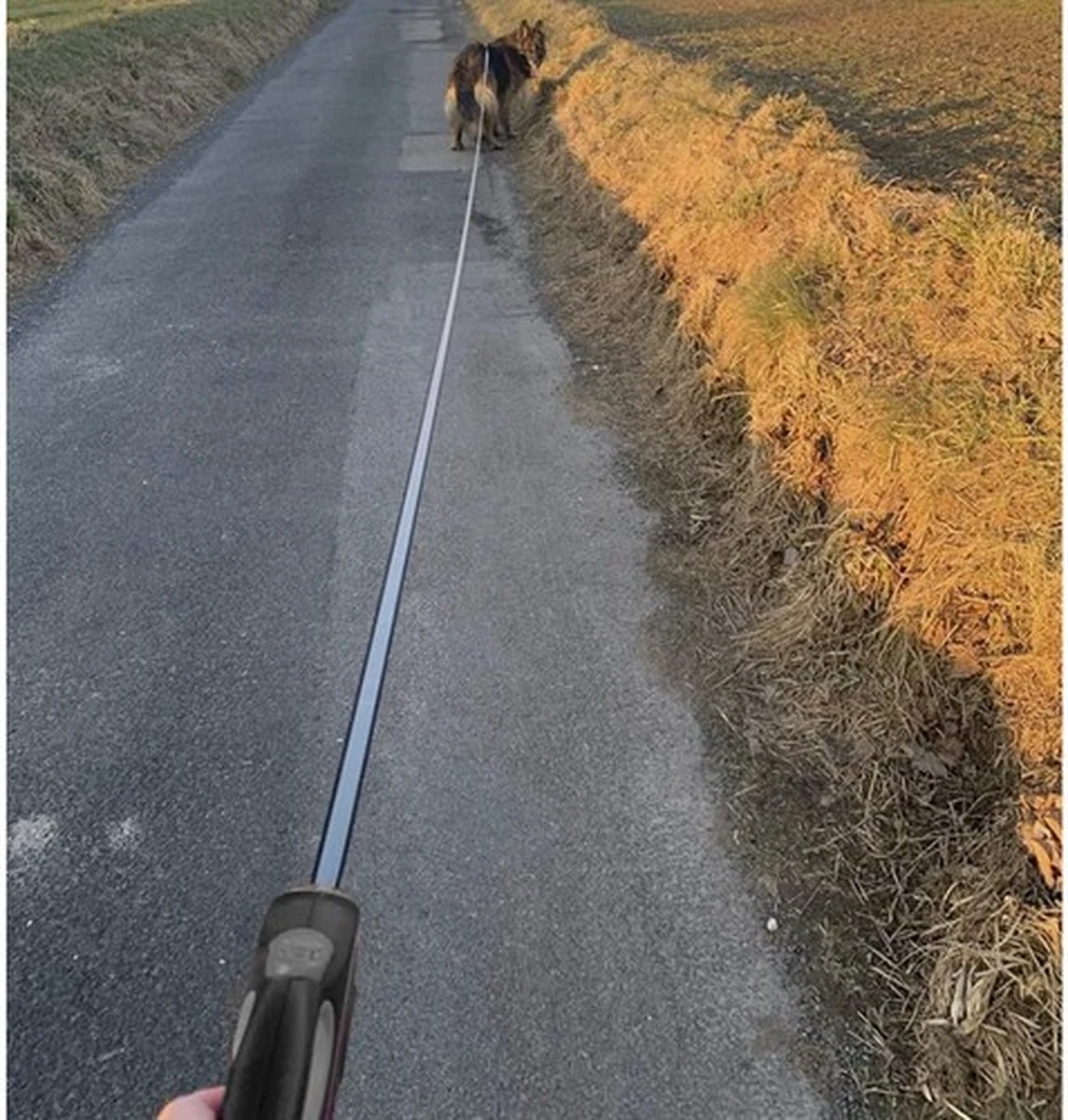 Hondenriem-Looplijn-Zwart/Grijs-8 Meter Oprol-Hond Lijn-Automatisch Rollijn 13 Hondenriem-Looplijn-Zwart/Grijs-8 Meter Oprol-Hond Lijn-Automatisch Rollijn - Afbeelding 11