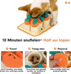 Premium Snuffelmat Voor Hond En Kat - Intelligentie Speelgoed - Snuffel Mat Puppy - IQ Hondenspeeltjes - Educatieve Training Huisdier - Snuffeltrainer Hondenpuzzel - Educatief Speelgoed - Vetalo 22 Premium Snuffelmat Voor Hond En Kat - Intelligentie Speelgoed - Snuffel Mat Puppy - IQ Hondenspeeltjes - Educatieve Training Huisdier - Snuffeltrainer Hondenpuzzel - Educatief Speelgoed - Vetalo -Hondenproducten 1145x1200 2