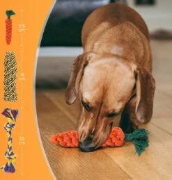 Nobleza Honden Speelgoed Set PLJ - 10 Stuks 14 Nobleza Honden Speelgoed Set PLJ - 10 Stuks -Hondenproducten 1146x1200 9