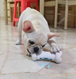 Cheerble Wickedbone|Automatisch Hondenspeeltje|Interactief En Intelligent Speelgoed Voor Honden|App & Bluetooth Bestuurbaar|USB Oplaadbaar -Hondenproducten 1147x1200 6