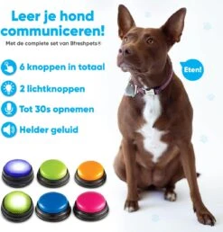 BFreshPets Praatknop Voor Honden - 6 Stuks - Dogbuttons - Hondenspeelgoed - Honden Training - Laat Uw Huisdier Spreken -Hondenproducten 1151x1200 6