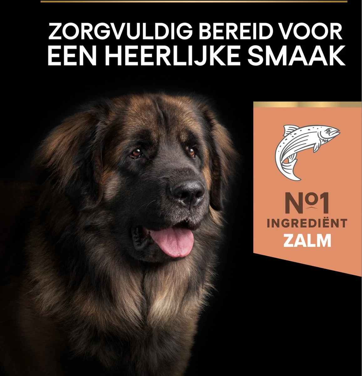 Pro Plan Large Robust Adult Sensitive Skin - Honden Droogvoer - Zalm - 14 Kg 13 Pro Plan Large Robust Adult Sensitive Skin - Honden Droogvoer - Zalm - 14 Kg - Afbeelding 11