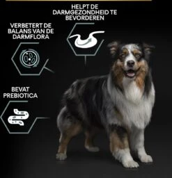 Pro Plan Graanvrij Medium & Large Adult Sensitive Digestion - Honden Droogvoer- Kalkoen - 12 Kg -Hondenproducten 1160x1200 10