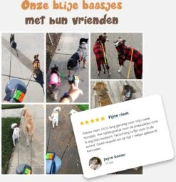 Dubbele Honden Riem – Leiband Hond – Hondenlijn – Looplijn Hond – 2 Honden – 3 Meter – Tot 12kg Per Hond – Reflecterende Lijnen – Met Zaklamp – 360° Draaien – Verstelbaar - Navy Blauw -Hondenproducten 1160x1200