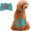 Merkloos Hondenluier Voor Kleine Hond - Luier Voor Reu - Buikband Maat S 27 Cm X 25 Cm -Hondenproducten 1164x1200