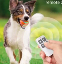 Merkloos Slimme Interactieve Zelf Rollende Bal Voor Honden - 3 Speelmodi - Honden Speelgoed - Hondenspeeltjes - USB Oplaadbaar - Met Afstandsbediening - Intelligente Automatische Roterende Waterproof Led Bal Met Afstandsbediening - Oranje -Hondenproducten 1164x1200 5