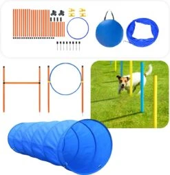 Tavaro Agility Voor De Hond - Honden Training - Hondentunnel - Springhoepel - Horde - Slalom - Honden Behendigheid Trainingsset