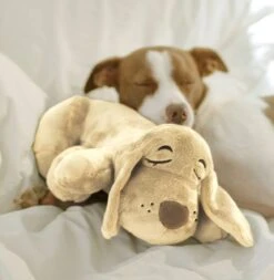 HuggiePup, Hartslagknuffel - Knuffelhond Met Hartslag En Warmhoud Zakje – Warmte Knuffel – Puppy Knuffel – Puppyknuffel Met Hartslag – Snuggle Puppy - Heartbeat -Hondenproducten 1171x1200 10