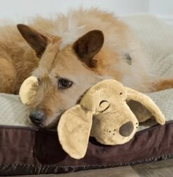 HuggiePup, Hartslagknuffel - Knuffelhond Met Hartslag En Warmhoud Zakje – Warmte Knuffel – Puppy Knuffel – Puppyknuffel Met Hartslag – Snuggle Puppy - Heartbeat -Hondenproducten 1171x1200 7