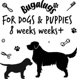 Bugalugs - Hondenshampoo - One In A Million - Alle Vachttypes - Fles Met Pompje - Vegan - 500 Ml 15 Bugalugs - Hondenshampoo - One In A Million - Alle Vachttypes - Fles Met Pompje - Vegan - 500 Ml -Hondenproducten 1172x1200 1