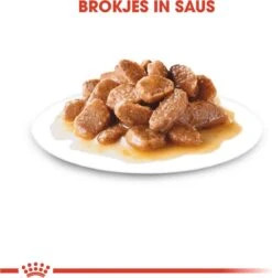 Royal Canin Shn Mini Ageing 12plus Pouch - Hondenvoer - 12x85 G -Hondenproducten 1177x1200 6