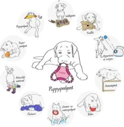 Trixie Dogtoy Dog Activity Strategy Game Gamble Box - Piepend Speelgoed - 15cm X 15cm X 9cm - Zwart/rood/oranje 21 Trixie Dogtoy Dog Activity Strategy Game Gamble Box - Piepend Speelgoed - 15cm X 15cm X 9cm - Zwart/rood/oranje -Hondenproducten 1178x1200 6