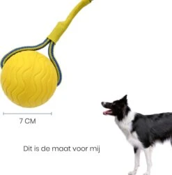 Leashr Honden Speelgoed - Bal Aan Touw - 2 Stuks - Touw - Koord - Kauwspeelgoed - Apporteer - Hond - 7 CM -Hondenproducten 1180x1200 11