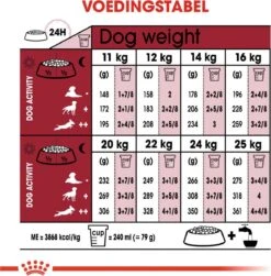 Royal Canin Medium Ageing 10+ - Hondenvoer - 15 Kg 23 Royal Canin Medium Ageing 10+ - Hondenvoer - 15 Kg -Hondenproducten 1182x1200 2