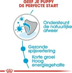 Royal Canin Shn Medium Puppy Pouch - Hondenvoer - 10 X 140 G 33 Royal Canin Shn Medium Puppy Pouch - Hondenvoer - 10 X 140 G -Hondenproducten 1184x1200 6