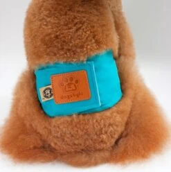 Merkloos Hondenluier Voor Kleine Hond - Luier Voor Reu - Buikband Maat S 27 Cm X 25 Cm -Hondenproducten 1194x1200 8