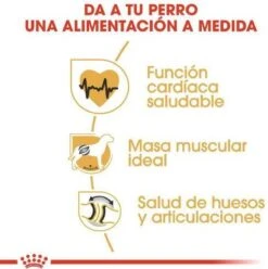 Royal Canin Rottweiler 12 KG -Hondenproducten 1197x1200 5