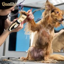 Merkloos Professionele Honden Tondeuse Set - Tondeuse Voor Huisdier Honden En Katten - Hondentrimmer - Hondentondeuse -Hondenproducten 1198x1200 10