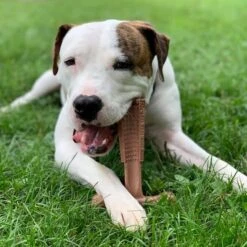 Spot Bam-Bones Plus Easy Grip - Veilig Kauwbot Voor Honden - Speciaal Voor Sterke Kauwers - Verzorgt Het Gebit Van De Hond - Rund Of Kip - S/M/L - Maat: Large, Smaak: Kip -Hondenproducten 1198x1200 31