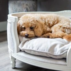 Lord Lou - George Roze Velvet S - Luxe Hondenmand - Luxe Kattenmand - 49x40x31 -Hondenproducten 1198x1200 37