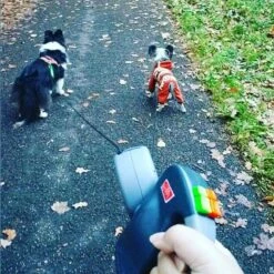 Merkloos Dubbele Hondenriem Voor Twee Honden - Grijs - Tot 22 Kg (per Hond) - 300 Cm -Hondenproducten 1198x1200 4