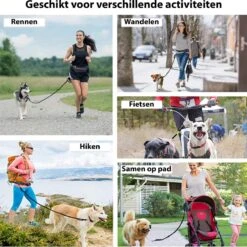 Filo Elastische Hondenriem Groot - Hardlopen En Wandelen - Hardloopriem Hond Handsfree Met Heuptasje - Looplijn Met Heupriem - Canicross Gordel Honden - Riemen - Heupgordel - Leiband 17 Filo Elastische Hondenriem Groot - Hardlopen En Wandelen - Hardloopriem Hond Handsfree Met Heuptasje - Looplijn Met Heupriem - Canicross Gordel Honden - Riemen - Heupgordel - Leiband -Hondenproducten 1199x1200 1