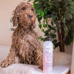 Greenfields Labradoodle Vacht Verzorgingsset - Shampoo En Anti-Klit Spray Voor Langharige Of Krullende Vacht -Hondenproducten 1199x1200 4