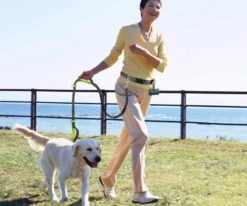 Canicross Looplijn Hond Met Heupriem Voor Hardlopen - Elastische Handsfree Hondenriem - Honden Trainingslijn - 150/210cm - Zwart -Hondenproducten 1200x1000 5