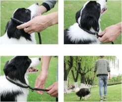 LOUZIR Cesar Millan Sliplijn Met Stop - Hondenriem - Rood - 130 Cm -Hondenproducten 1200x1003