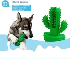 Tandenborstel + TANDPASTA Hond Melk Geur Smaak En Piep Honden Speelgoed - Cactus Dog Toy Tandverzorging Kauwbotten Hondenspeelgoed Hondenbot Kauwstaaf Tanden Puppy Hondenspeeltje Sterk Kauwspeelgoed - Dutchwide 18 Tandenborstel + TANDPASTA Hond Melk Geur Smaak En Piep Honden Speelgoed - Cactus Dog Toy Tandverzorging Kauwbotten Hondenspeelgoed Hondenbot Kauwstaaf Tanden Puppy Hondenspeeltje Sterk Kauwspeelgoed - Dutchwide -Hondenproducten 1200x1008 5