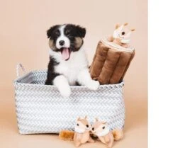 Zippy Paws - Petshop By Fringe Studio- Intelligentie Spel - Speelgoed Hond - Honden - Puzzel - Eekhoorn -Hondenproducten 1200x1014 3