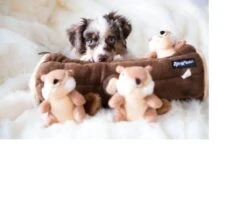 Zippy Paws - Petshop By Fringe Studio- Intelligentie Spel - Speelgoed Hond - Honden - Puzzel - Eekhoorn -Hondenproducten 1200x1014 4