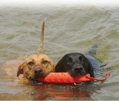 Kong Training Du Mmy XL - Kauwspeelgoed - 354 Mm X 77 Mm X 64 Mm - Oranje -Hondenproducten 1200x1017 2