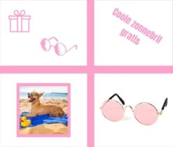 Pepets© – Hondenhanddoek – Honden Handdoek – Microvezel Handdoek – Handdoek Hond – Hondendeken – Droogdoek Hond – Dierendeken – Absorberend – 100*50CM - Beige - GRATIS Zonnebril -Hondenproducten 1200x1018